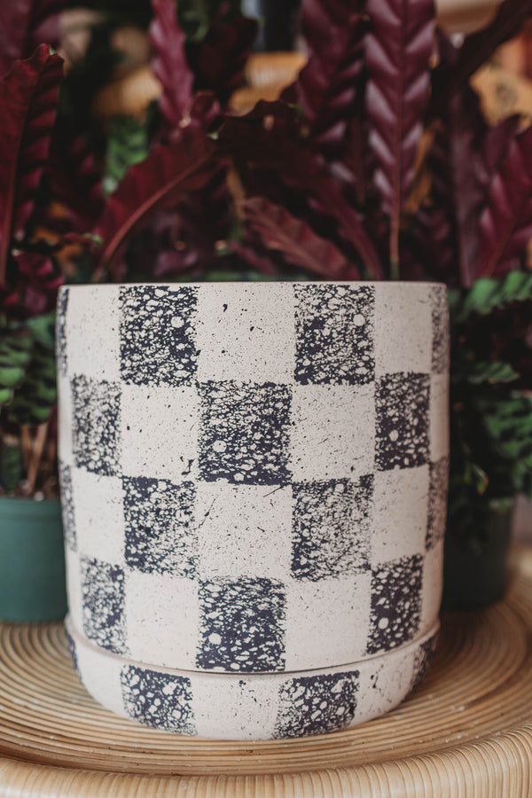 Clay Checkered Planters With Tray