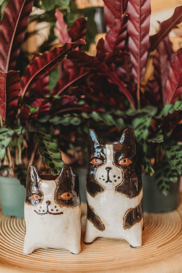 Doggy Planters