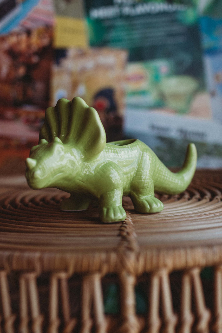 Triceratops Dinosaur Pot