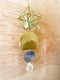 Brass Moon Phase Suncatcher with Air Plants 003